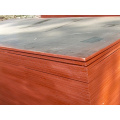 Used Plywood Sheets Poplar Core for Concrete Usages